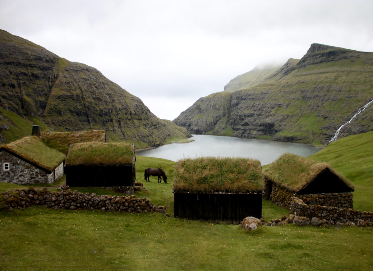 Grass-roofed traditional Faroese buildings with a horse grazing by a fjord surrounded by steep green mountains