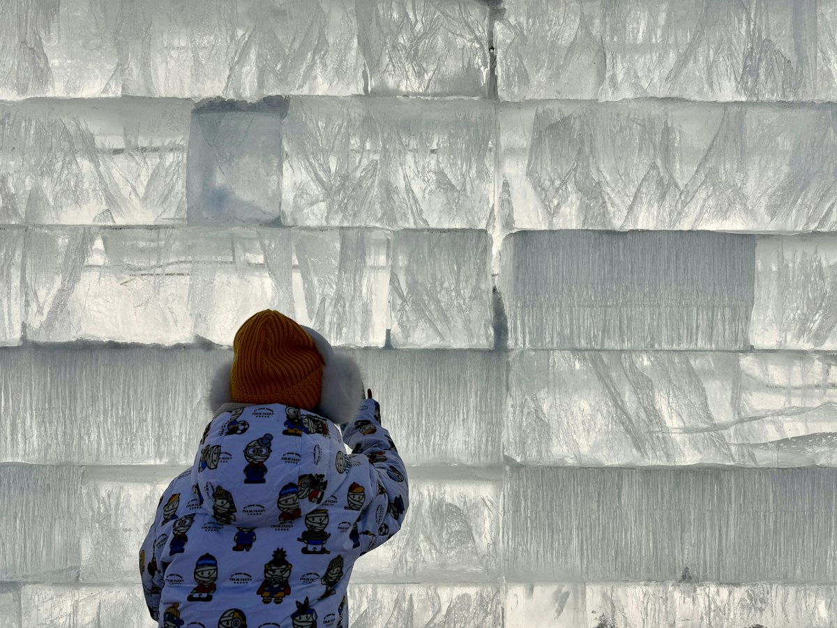 Person standing in front of a towering wall built from stacked blocks of clear ice