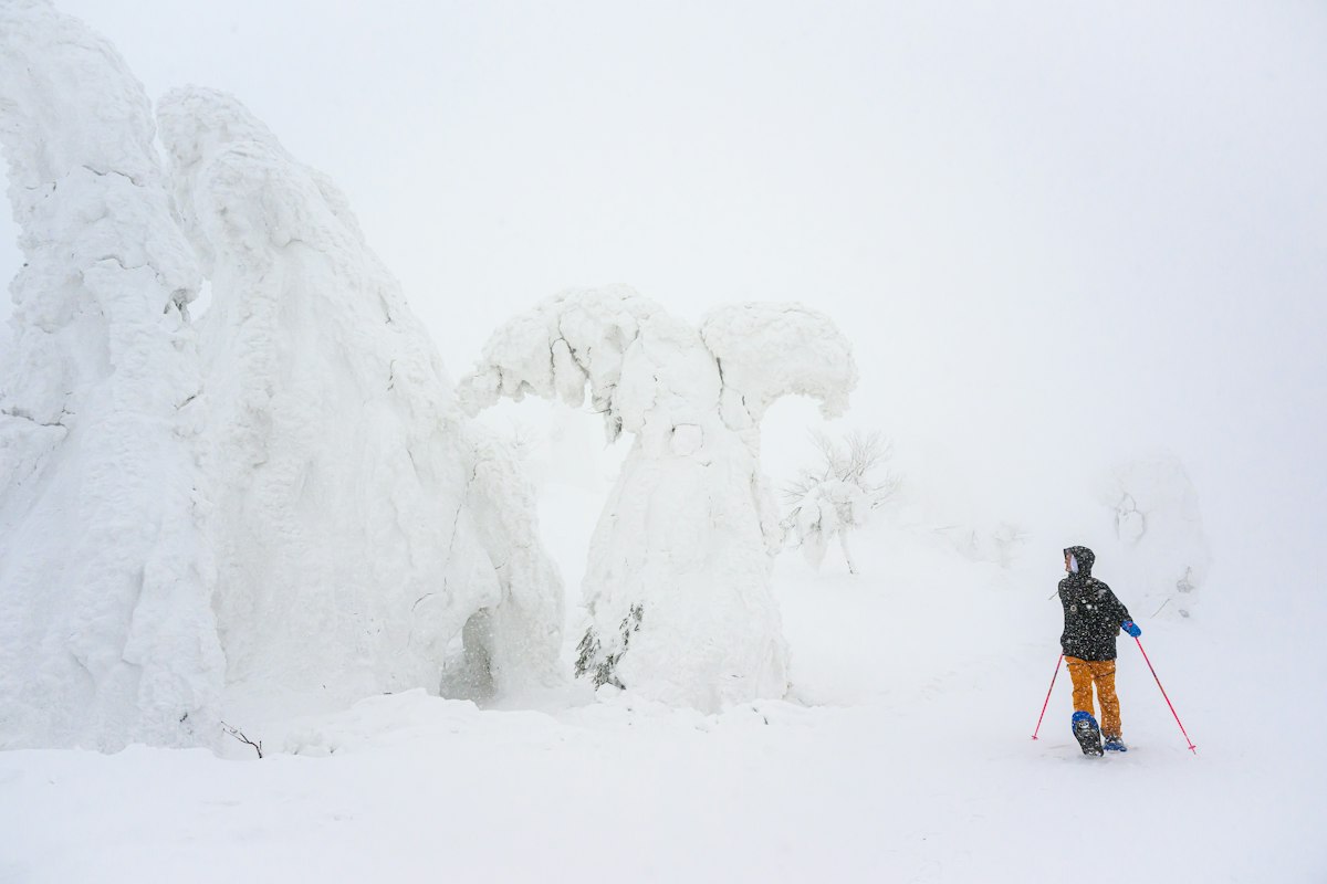 Skier standing among trees buried in deep snow during a whiteout on a Japanese mountain