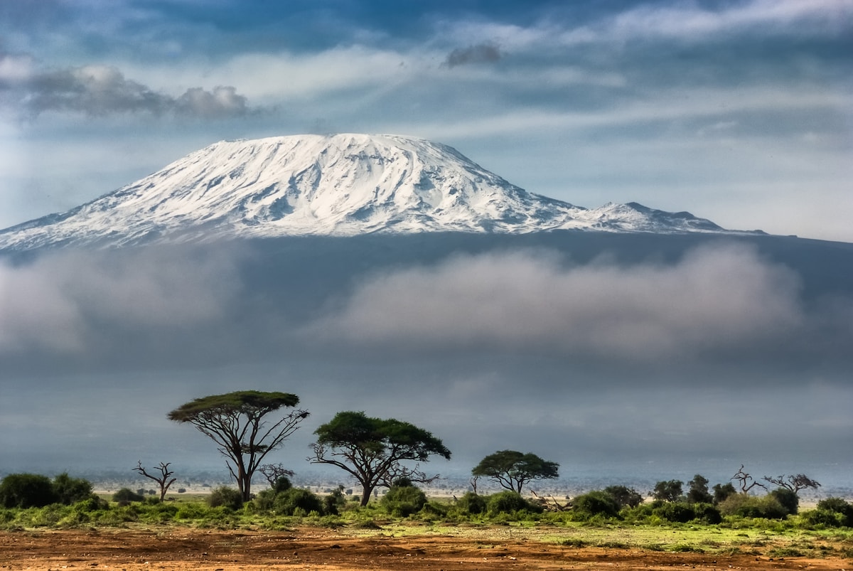 Mount Kilimanjaro's snow-capped summit towering above clouds with African savanna and acacia trees in the foreground