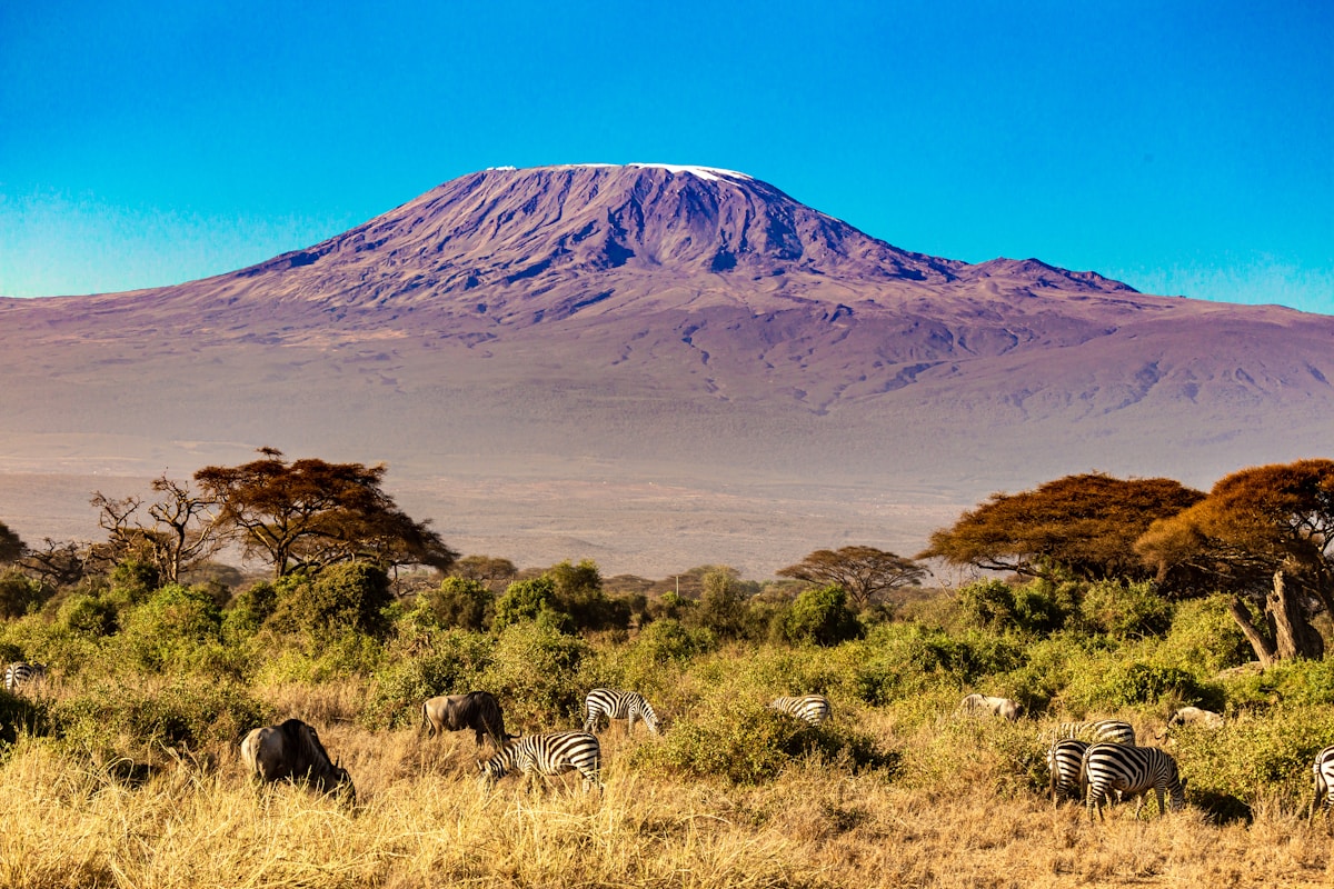 Kilimanjaro - The Roof of Africa and the Mountain You Can Actually Climb