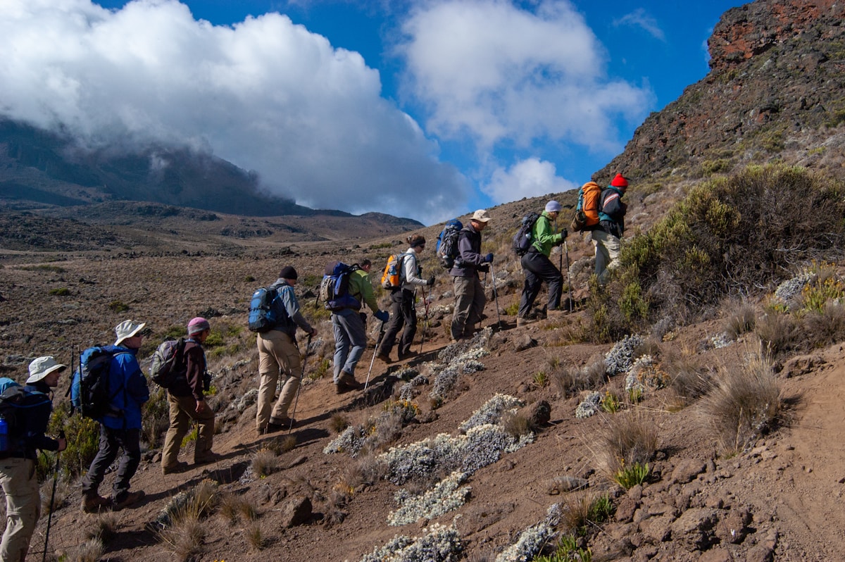Group of hikers with backpacks trekking uphill through the alpine desert zone on Mount Kilimanjaro