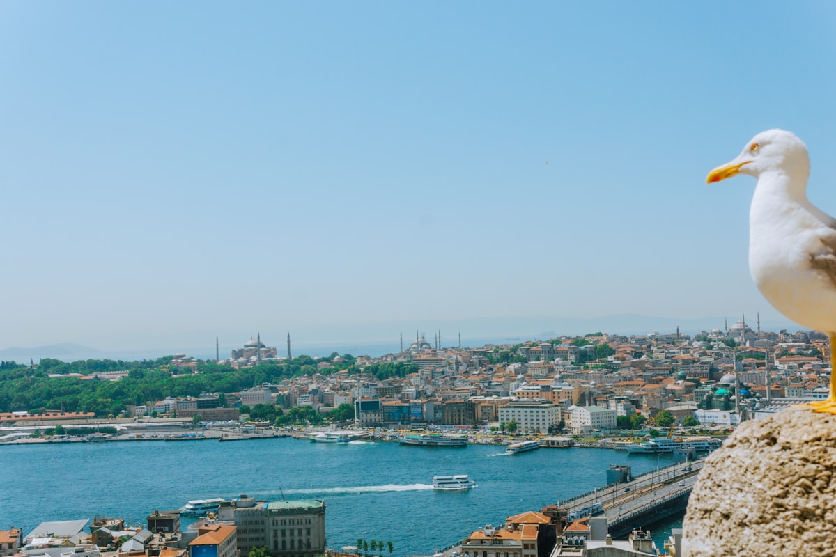 Understanding the Middle East - Countries, History, and Why It Matters
