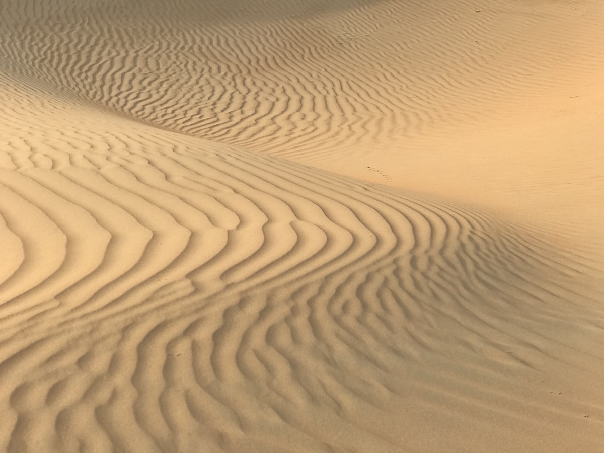 Vast desert landscape with sand dunes stretching to the horizon under a warm golden sky