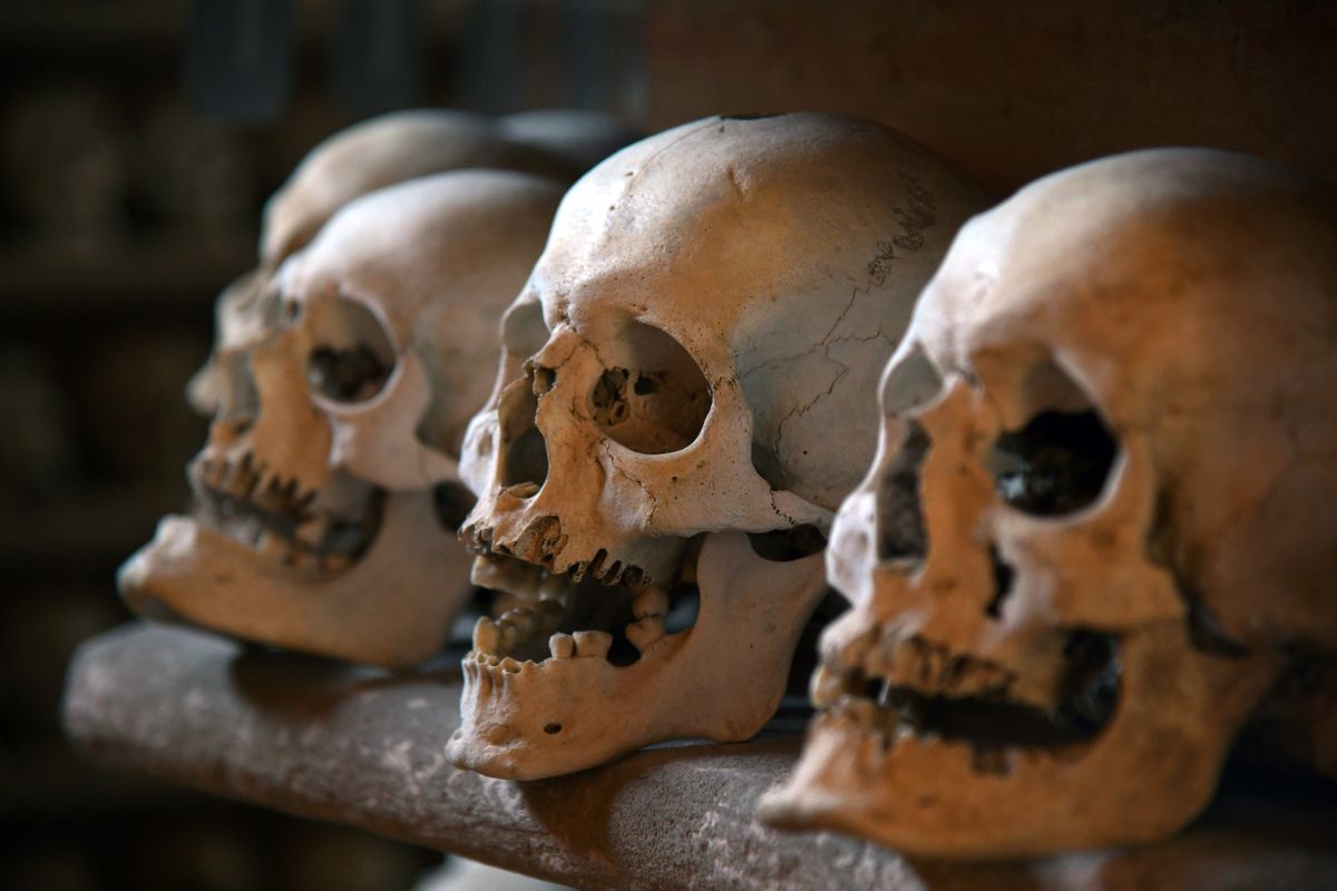 Row of aged human skulls resting on a stone ledge inside a dimly lit ossuary