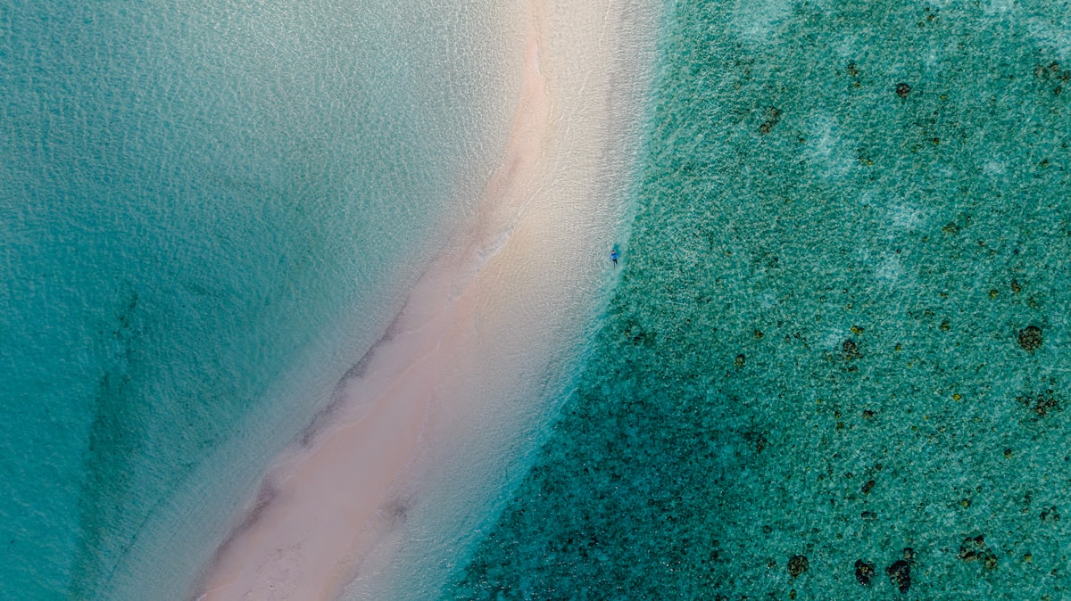 Pink-tinted sand stretching along the coast of Harbour Island in the Bahamas with gentle waves