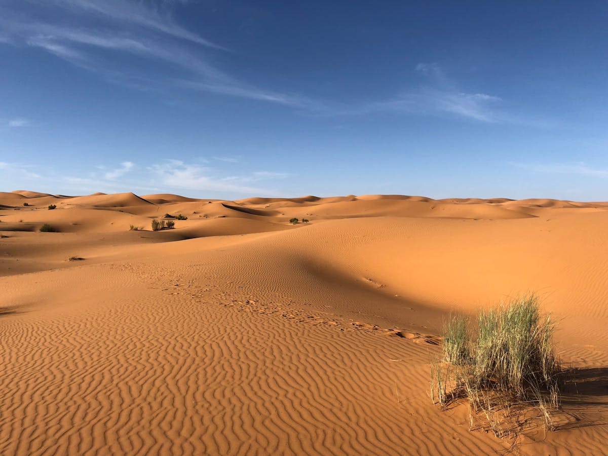 The Sahara Desert - The World's Largest Hot Desert and Africa's Sea of Sand